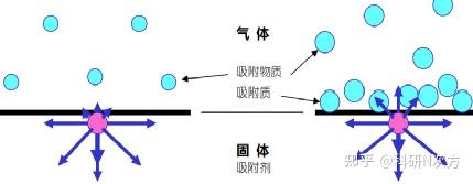 v2-3b6065852d47928b4f83b89d4adce1c5_1440w
